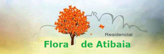 Portal Flora de Atibaia - O Portal do nosso bairro